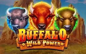 Buffalo. The Wild Power